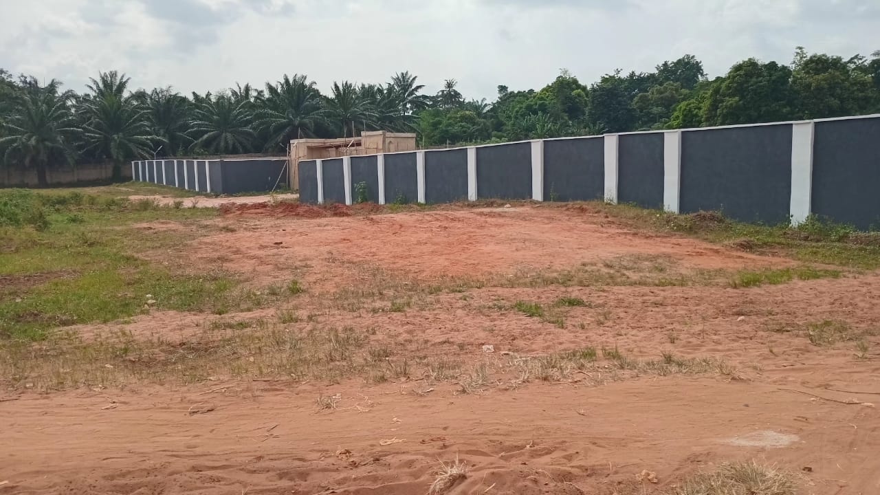 Land project 1